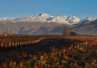 风土魅力：葡萄酒产区的独特印记