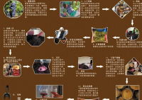 葡萄酒工艺流程图