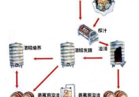 葡萄酒工艺流程图片
