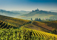 风土是葡萄酒产区的灵魂画师，绘就风味