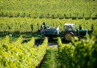 走进葡萄酒产区，聆听风土的故事