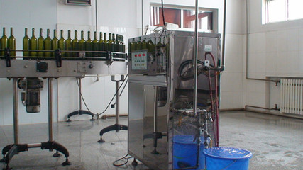 葡萄酒灌装前酒瓶消毒（臭氧 / 高温）工艺