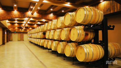 葡萄酒稳定处理后储存（低温 / 避光）工艺