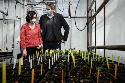 旅途中品酒的注意事项（便携包装 / 当地特色酒）常识