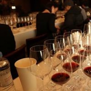 葡萄酒进阶学习攻略：成为葡萄酒爱好者的必经之路​