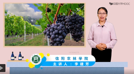 葡萄酒工艺学知识点总结