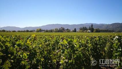 是什么让葡萄酒产区风土独一无二？