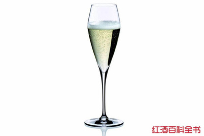 起泡葡萄酒气泡持续性（持久 / 短暂）判断常识