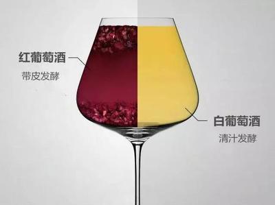 葡萄酒发酵过程中风味物质（生成 / 转化）调控工艺