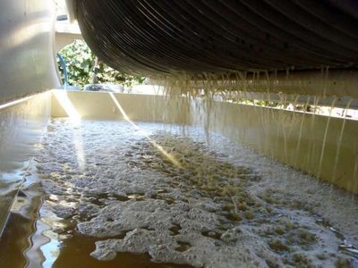 葡萄压榨过度（杂质多 / 苦涩味）工艺处理