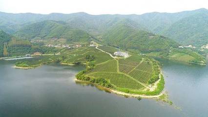 集安市龙源葡萄酒庄