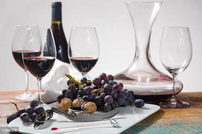 葡萄酒工艺与鉴赏电子书