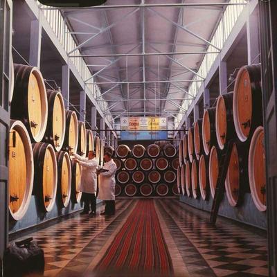 陈酿过程中葡萄酒 pH 值变化监测与调整工艺