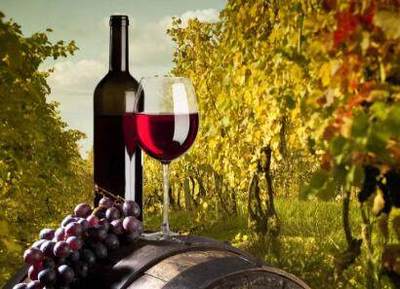 葡萄酒风味浓郁度（淡 / 适中 / 浓郁）判断常识