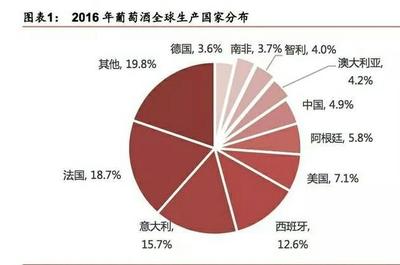 葡萄酒市场趋势与竞争类