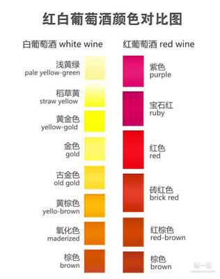 红葡萄酒边缘色带（紫色 / 红色 / 棕色）观察常识