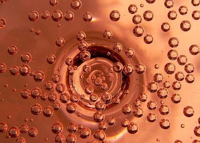 起泡葡萄酒酵母自溶程度（感官 / 化学）检测工艺