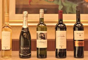 诺顿酒庄（Bodega Norton）