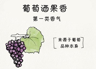 葡萄酒果香（ primary aroma）保留工艺