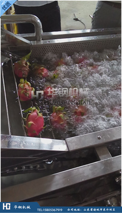 葡萄接收后快速清洗（高压喷淋 / 气泡清洗）工艺