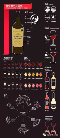 对比品鉴（同一品种不同产区 / 同一产区不同品种）的学习方法常识