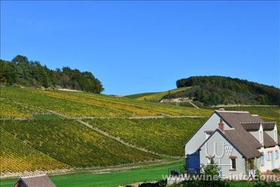 葡萄酒工艺与文化融合工艺