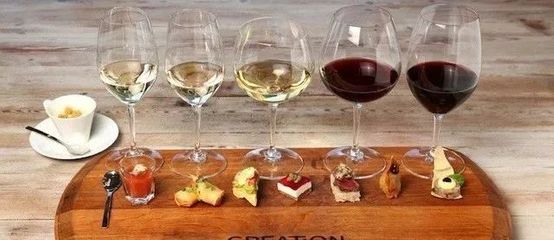 葡萄酒风味与食物搭配(互补 / 对比)工艺