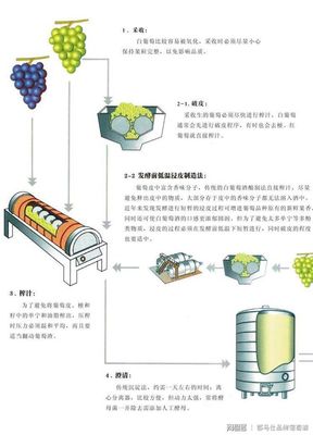葡萄酒生产工艺流程图cad