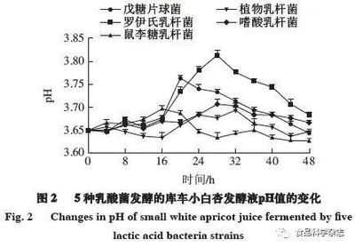 苹果酸 - 乳酸发酵结束（苹果酸含量检测）判断工艺