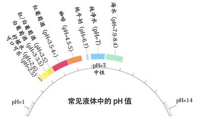品酒过程中补水（纯净水，不影响味觉）常识
