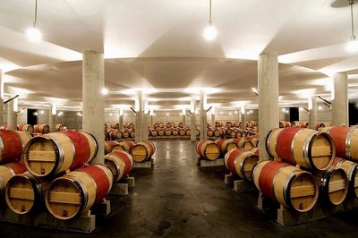 干红葡萄酒工艺流程,每个工艺的要点