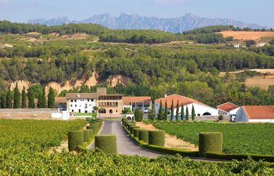 莫纳斯特雷尔酒庄（Bodegas Monastrell）