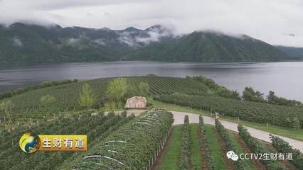 集安市野山参葡萄酒庄