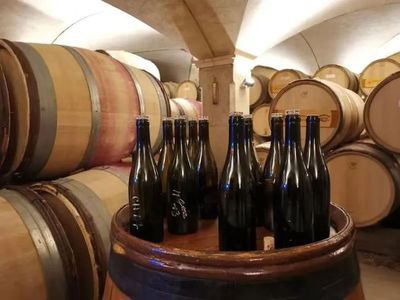 橡木桶陈酿后酒液澄清（自然沉淀 / 过滤）工艺