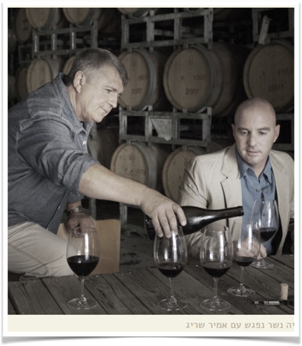 葡萄酒产区：风土孕育的味觉奇迹