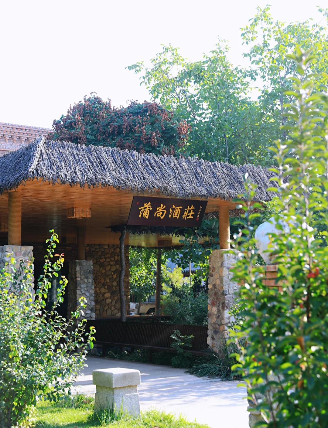 蒲尚酒庄