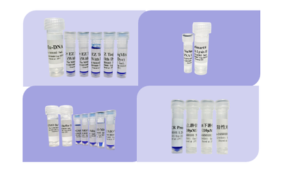 葡萄酒灌装前微生物（酵母 / 细菌）分离培养工艺