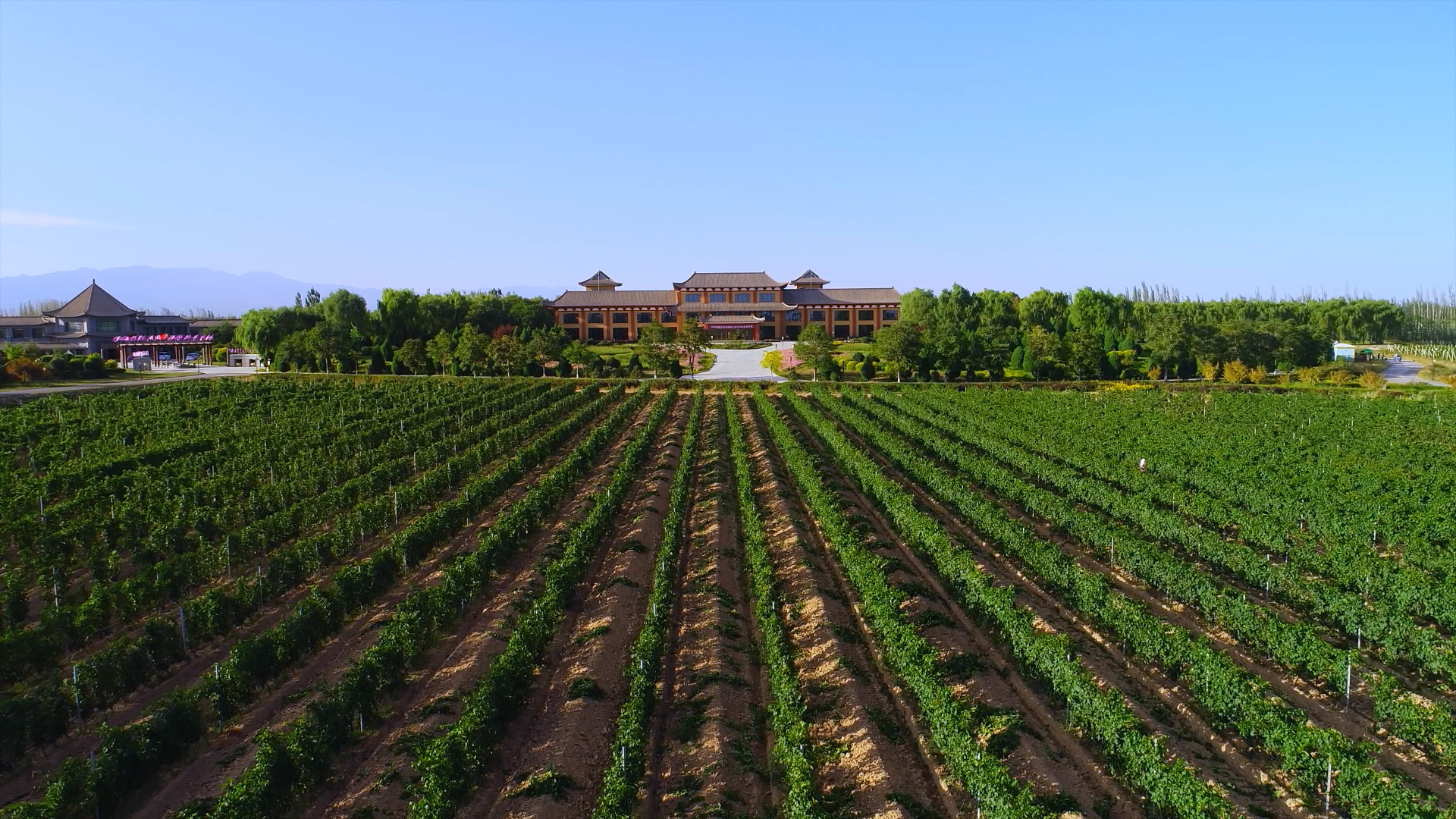 甘肃腾格里酒庄