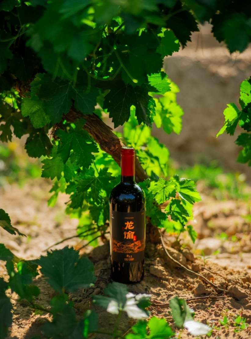 单一园葡萄酒营销：突出风土特色，打造高端形象