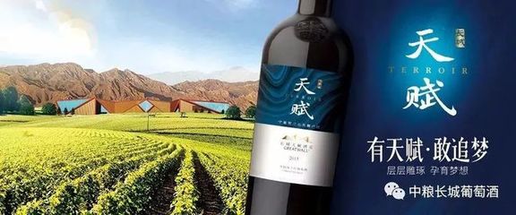 风土雕琢的葡萄酒产区，魅力无限