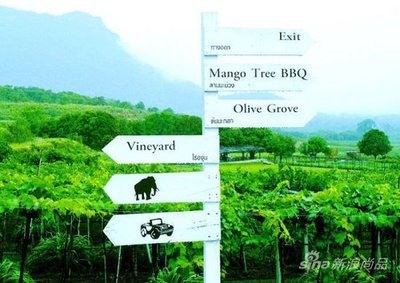 甘肃新润葡萄酒庄