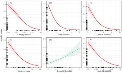 压榨压力梯度设定（逐步增压 / 恒定压力）工艺