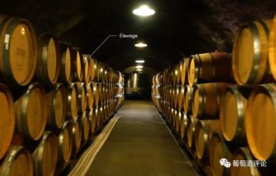 葡萄酒乳酸菌活性（苹果酸 - 乳酸发酵能力）检测工艺