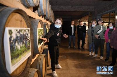 葡萄酒工艺与旅游文化（酒庄旅游 / 品鉴体验）结合工艺