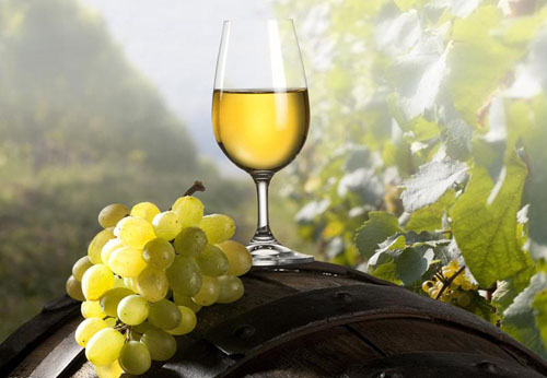 葡萄酒知识产权（商标 / 专利）申请与保护工艺